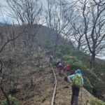 モノレールに沿って登る
