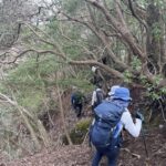 大ノ沢南尾根のヤブ激下り