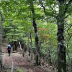 石保土山へ向け、新緑に覆われた尾根を快調に歩く！