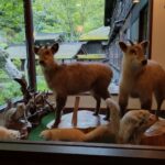 山の友達