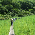 沼の原湿原を歩く