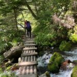 やっと登山ぽくなってきた！