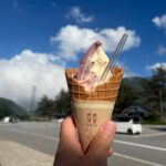 下山口にあるお店でソフトクリームを頂く