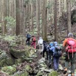沢沿いの杉林の登山道を進む