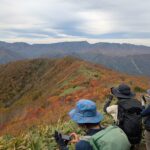 あ、こっちも綺麗