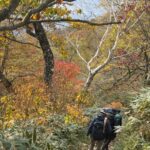 紅葉の中を下山