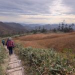 柴犬の毛色に似た草紅葉を楽しみながら、下山開始