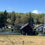 そば畑の中の小さな水車小屋