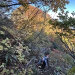 駒ヶ岳を過ぎて、アップダウンが連続する