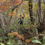 高度を上げるにつれ、紅葉も増えてきました