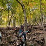 碧岩分岐から居合沢へのバリエーションルートを下る　