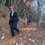 北参道は日陰で落ち葉が堆積。慎重に下る