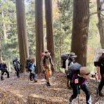 整備されとても歩きやすい表参道