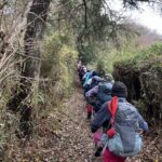 大人数ですが整然と登ります