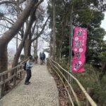 田浦梅林に到着です