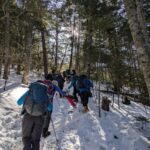 稜線に出るまでは樹林帯の急登を登ります